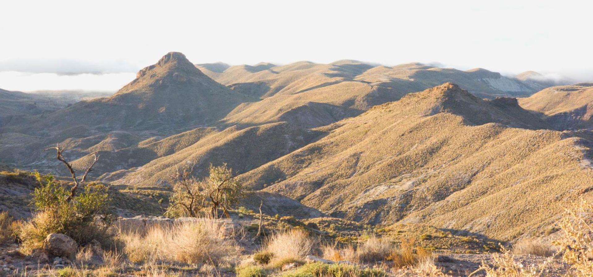 Cortijo El Albaricoque De La Sierra - Finca De 75 Hectareas ! Nijar Bagian luar foto