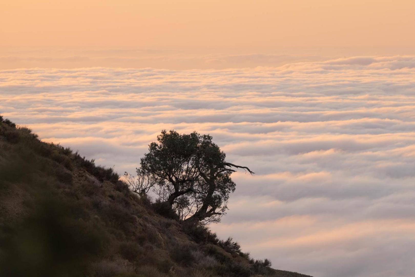 Cortijo El Albaricoque De La Sierra - Finca De 75 Hectareas ! Nijar Bagian luar foto